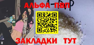скорость Кингисепп
