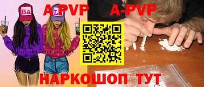 скорость Кингисепп
