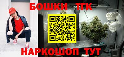 скорость Кингисепп