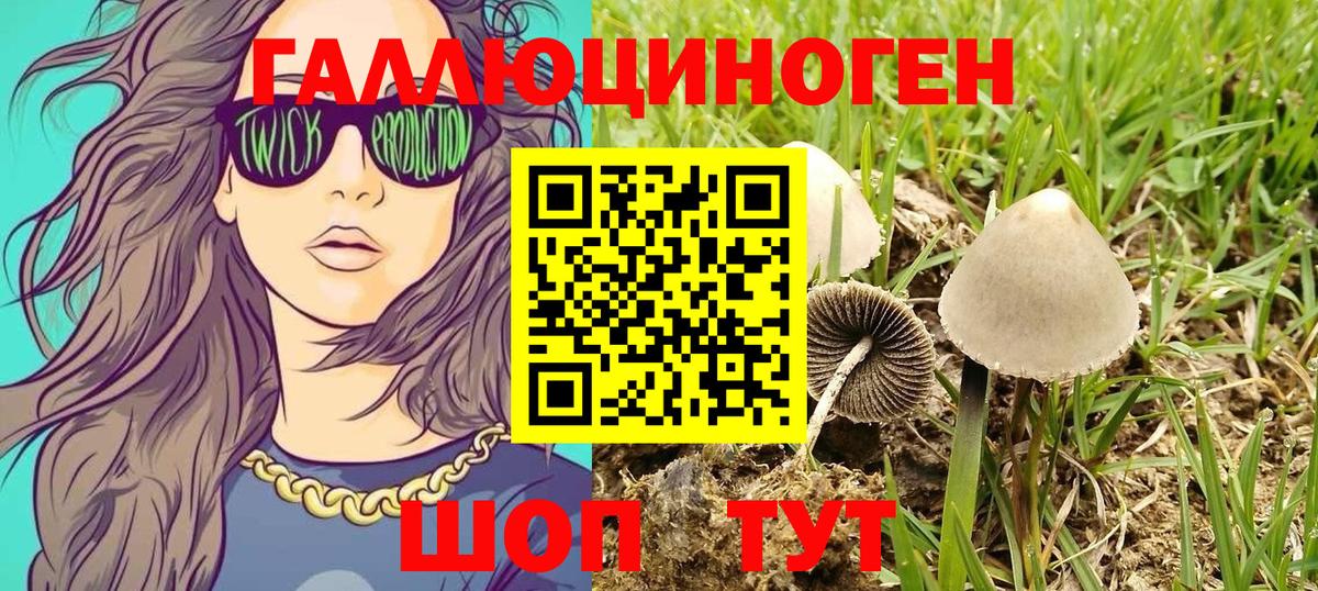 Галлюциногенные грибы Magic Shrooms  Вход с VPN  Кириши 