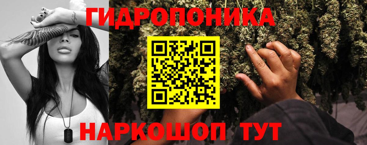 Конопля Amnesia  Канабис THC 21%  Вход с VPN  Кириши  Бошки марихуана тримм 